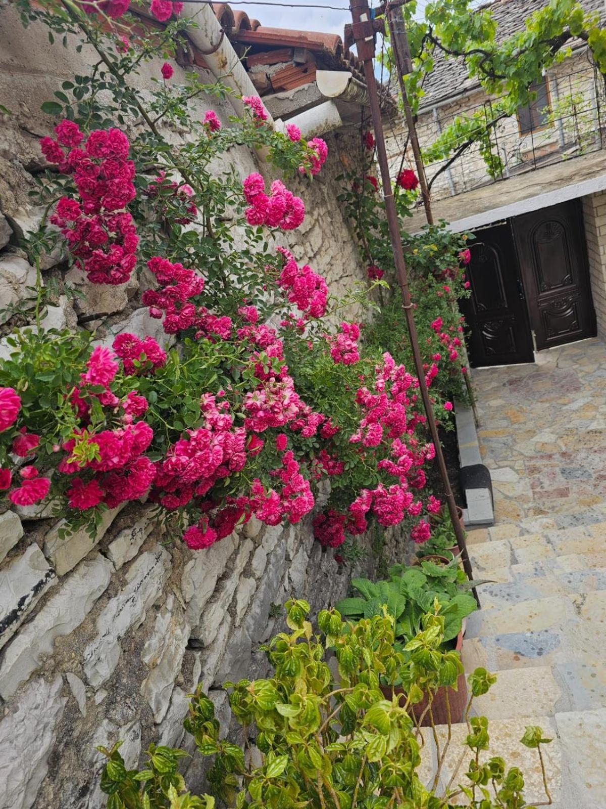 Luigi Guest House Gjirokastër Exteriér fotografie