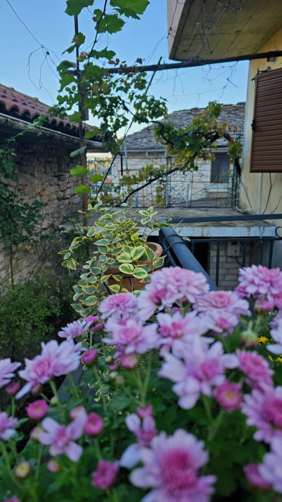 Luigi Guest House Gjirokastër Exteriér fotografie